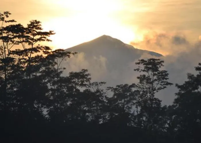 Sunia Jungle View By Eps Ubud (Bali)