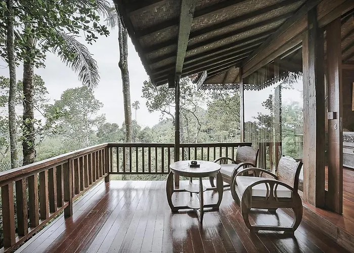Sunia Jungle View By Eps 4*