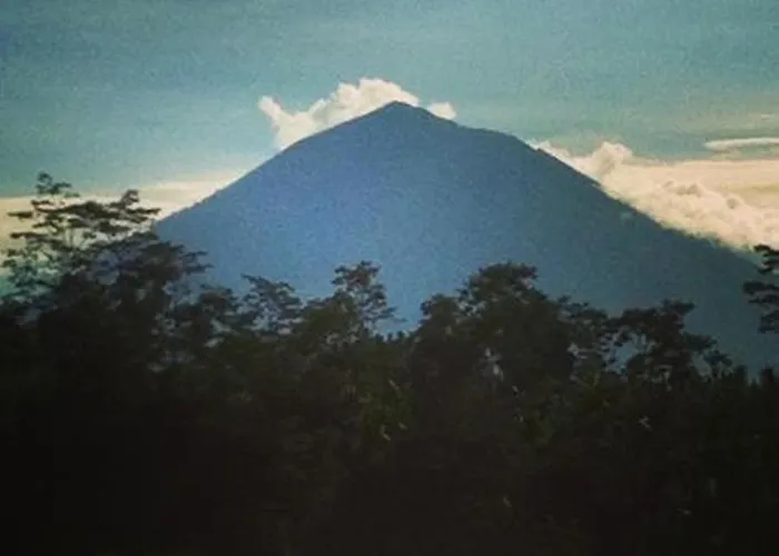 Sunia Jungle View By Eps 4* Ubud (Bali)